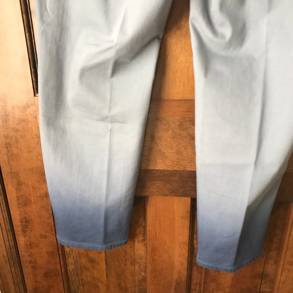 J. Jill Blue w/Ombre Leg Authentic Fit Slim Ankle Jeans Size 18 - Picture 10 of 14